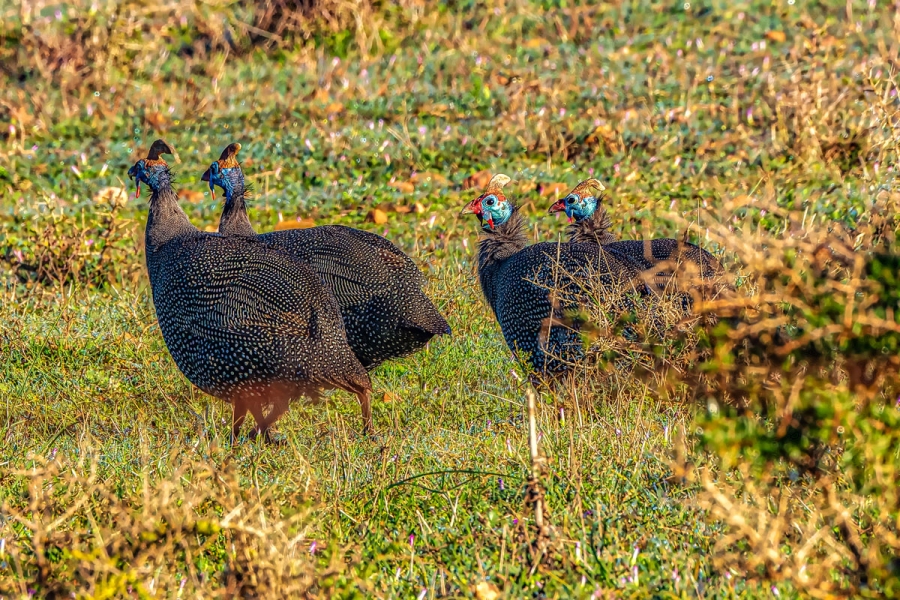 Commercial Property for Sale in Bot River Western Cape